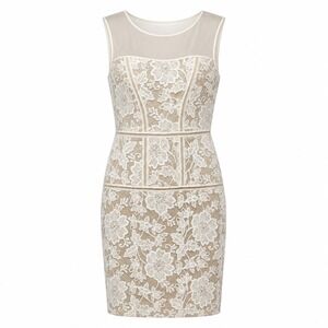 NWT Trina Turk Romantic Lace Silk Blend Sheath Dress Womens Size 2 Quiet Luxury